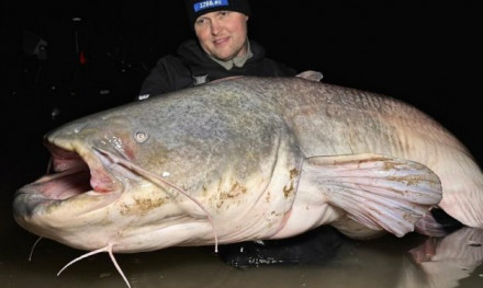 Roofmeister INSIDE: 120+ snoek, 50+ baarzen & dit is de truc voor snoekbaars!