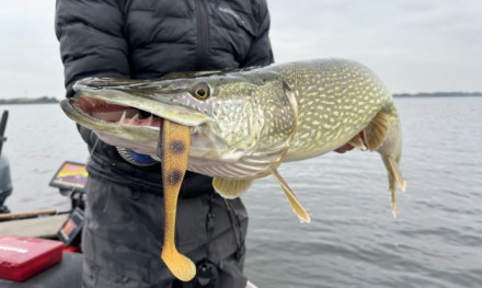 Zo ga jij jouw RECORD SNOEK vangen met een shallow screw!