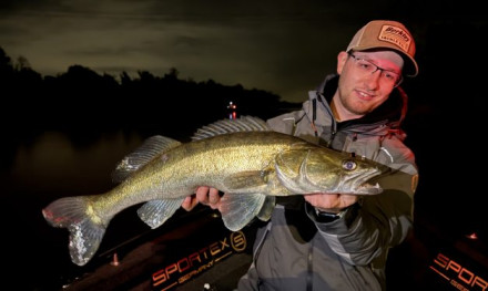 Vissen en kleuren zien – Hoe zit dat nou?