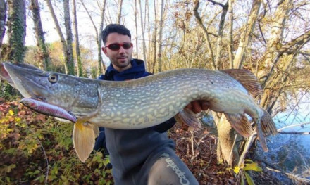 Deze polder killer moet je hebben!