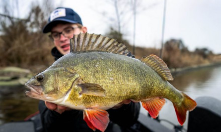 Het geheim achter wel of geen aanbeten