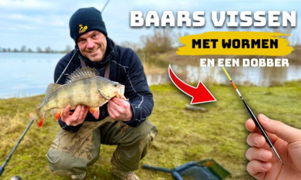 ***VIDEO*** Dobber vissen op grote baars – Iedereen kan zo een 50’er vangen!
