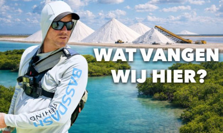 ***VIDEO*** VEEL BIJZONDERE VISSEN EN EEN BONUS MONSTER OP BONAIRE!