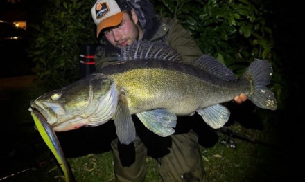 Grote roofvis is lui: Feit of Fabel?