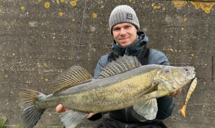 Snoekbaars shads voor in de kou!