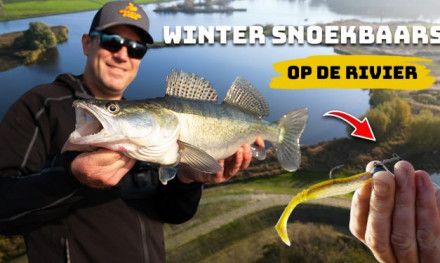 ***VIDEO*** Werpen op snoekbaars in de winter – Traag vissen is de sleutel!