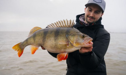 Rapala kunstaas voor de ondieptes – Drie toppers voor het voorjaar!