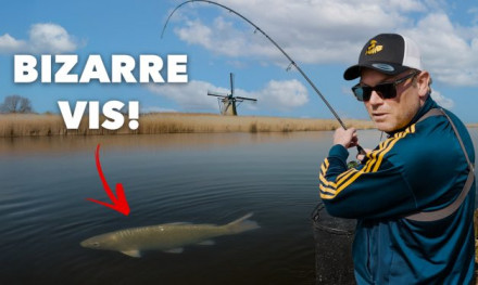 ***VIDEO*** Deze GROTE VIS hadden wij NOOIT VERWACHT! – Alles over VISSEN OP ROOFBLEI