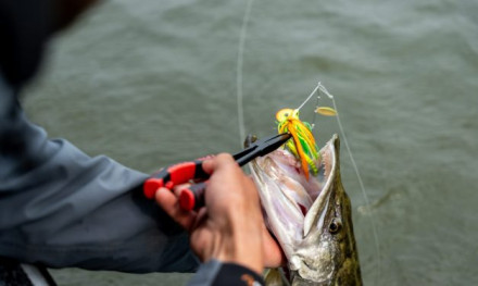 Spinnerbaits – Dé troef na de seizoensstart!