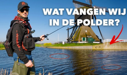 ***VIDEO*** Veel AANBETEN en GROTE SNOEKEN in deze HOLLANDSE POLDER!