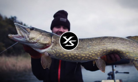 Grote snoek in Zweden