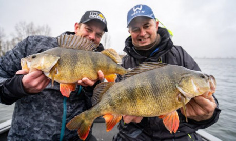 ROOFMEISTER ON TOUR –  Carolina feest met LUC COPPENS