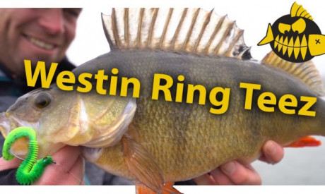 Ring Teez – Carolina & Texas rig