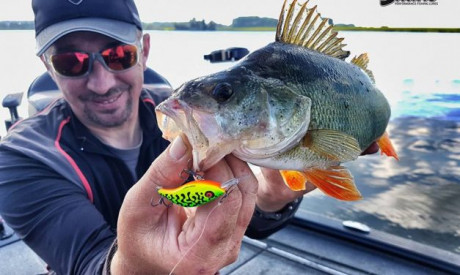 ROOFMEISTER TOP GEAR  – Kunstaasbouwpakketten & netten voor XXL baars