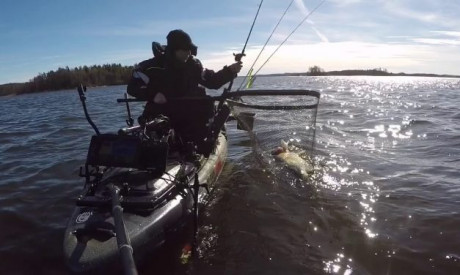 Snoekbaars van 11 kilo – Past niet in netje :-P