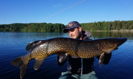 Ultieme Zweden Guide – Deel 3, Accommodaties – Sean Wit