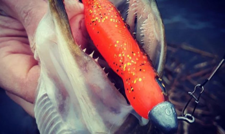 Tackle Meister review – Dubbele staartattractie