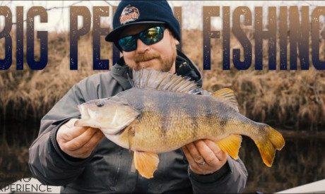 Zweedse schonen, maar dan baarzen