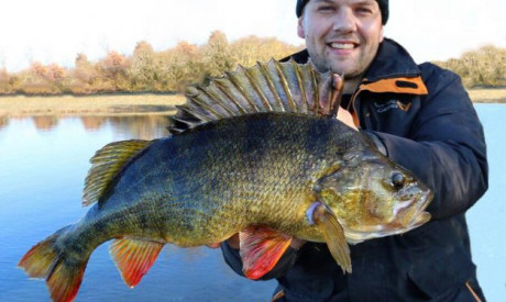 De gesloten tijd, wat nu – Met Nick Landman – XXL baars & riviersnoek