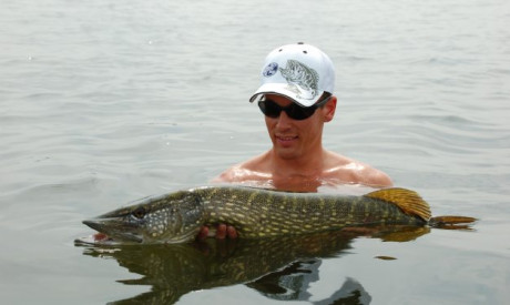 Warm water snoek – Experts over het vissen op snoek bij hoge temperaturen