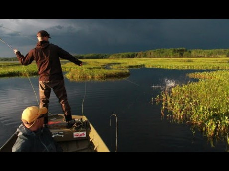 Waanzinnige oppervlakte aanbeten snoek