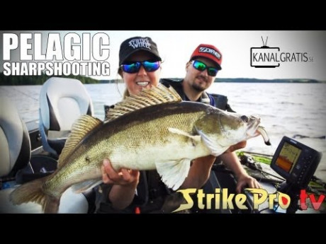 Videogame op het water – Pelagisch op snoekbaars