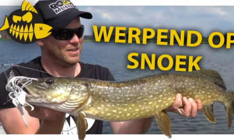 ***ROOFMEISTER VIDEO*** Werpend op snoek