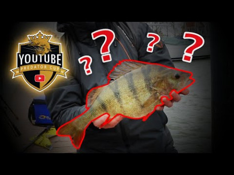 Schandaal bij de YouTube Predator Cup