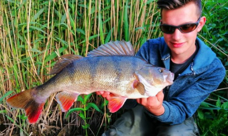 De ultieme stek voor grote baars – Jens de Goffau