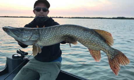 De toppers van Dennis Veug voor snoek – Top 5 kunstaas