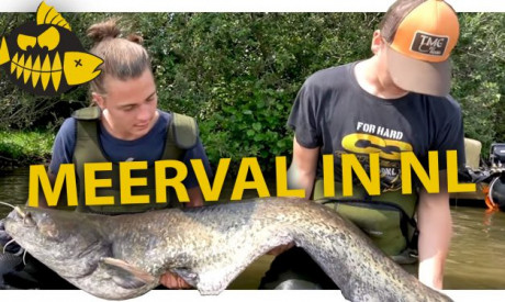 ***ROOFMEISTER VIDEO*** Zo vang je meerval in Nederland