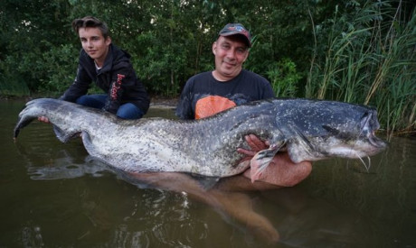 Monstermeerval in Enschede – Nieuw Nederlands record
