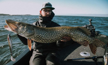 Wat zijn goede kleuren voor snoek kunstaas – Experts Sean Wit, Ruben Dekkers en Luc Coppens