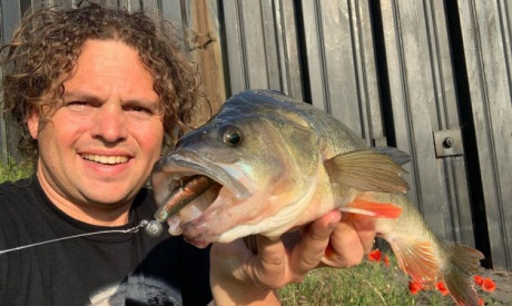 Zo vang je nu grote baars – Experts Nick Landman & Pieter-Bas Broeckx