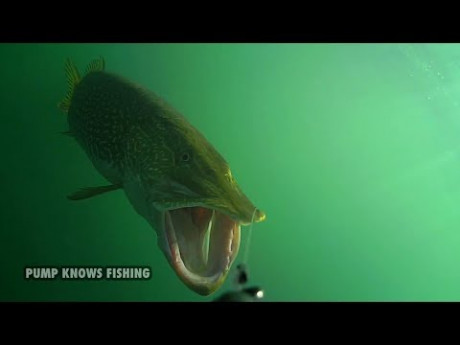 10 minuten aanbeten van snoek onder water