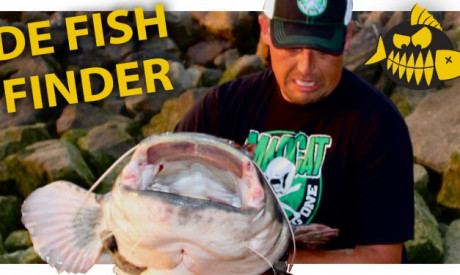 How to met meervalspecialist Roy Noom – De fishfinder