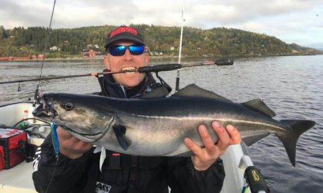 ROOFMEISTER TOP GEAR – Vette Kerst kortingen & nieuwe Savage Shads