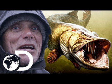 Levensgevaarlijke monster snoek – Volgens Jeremy Wade dan