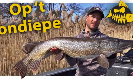 ***ROOFMEISTER VIDEO*** Metersnoek op het ondiepe – Sean Wit