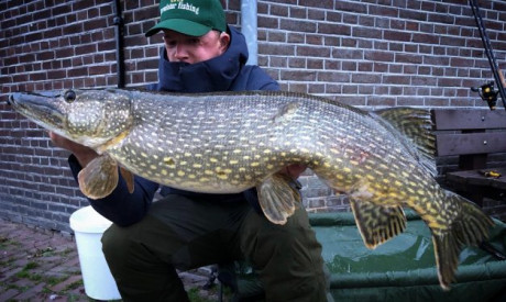 Zo vang je grote snoek met dood aas in de winter – Jeroen Bouwer