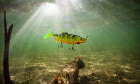 Roofmeister Top Gear – Snoekbaars snoep & de ultieme reishengels