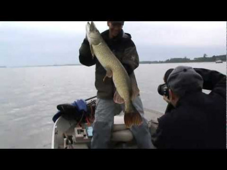 124 cm snoek op de Cowgirl – Een gouwe ouwe van Sander Paans
