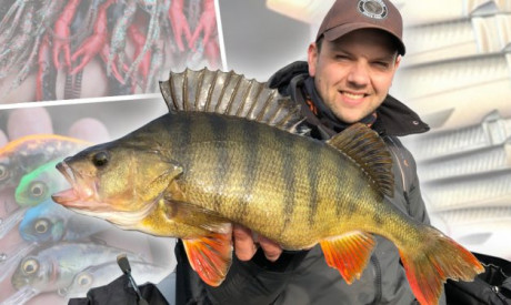 Carolina rig of jiggen op XXL baars – En nog 4 dilemma’s voor Nick Landman