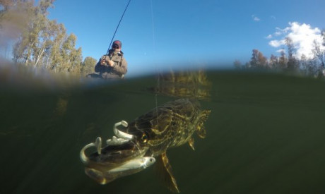 Spaans temperament – Staan op je bellyboat & naakte shads