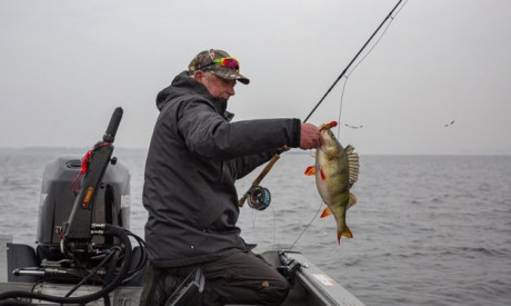 Bertus over maart – Vliegvissen voor beginners