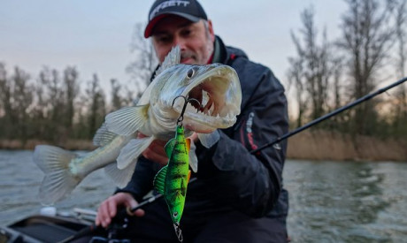 Roofmeister Top Gear – Nieuw NK bellyboat & de Swim meister limited