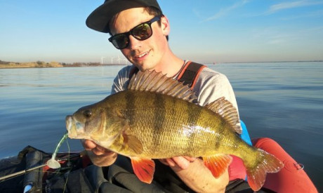De TOP 3 voor baars van Simon Torenbeek – Spinners, topwater en shads