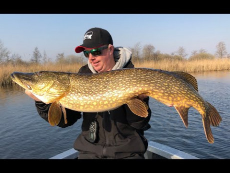 De laatste weken met kunstaas op snoek