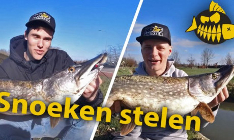 ***Hakkert & Honders*** Snoek stelen – Dikke 80’ers en 90’ers in de polder