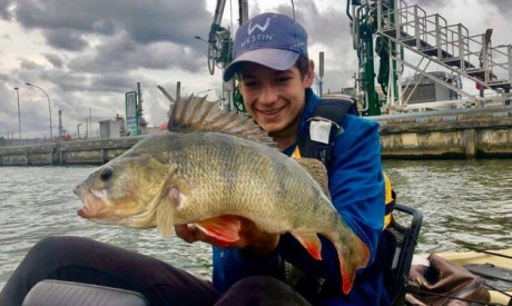 Waarom crankbaits het verschil kunnen maken – 5 redenen